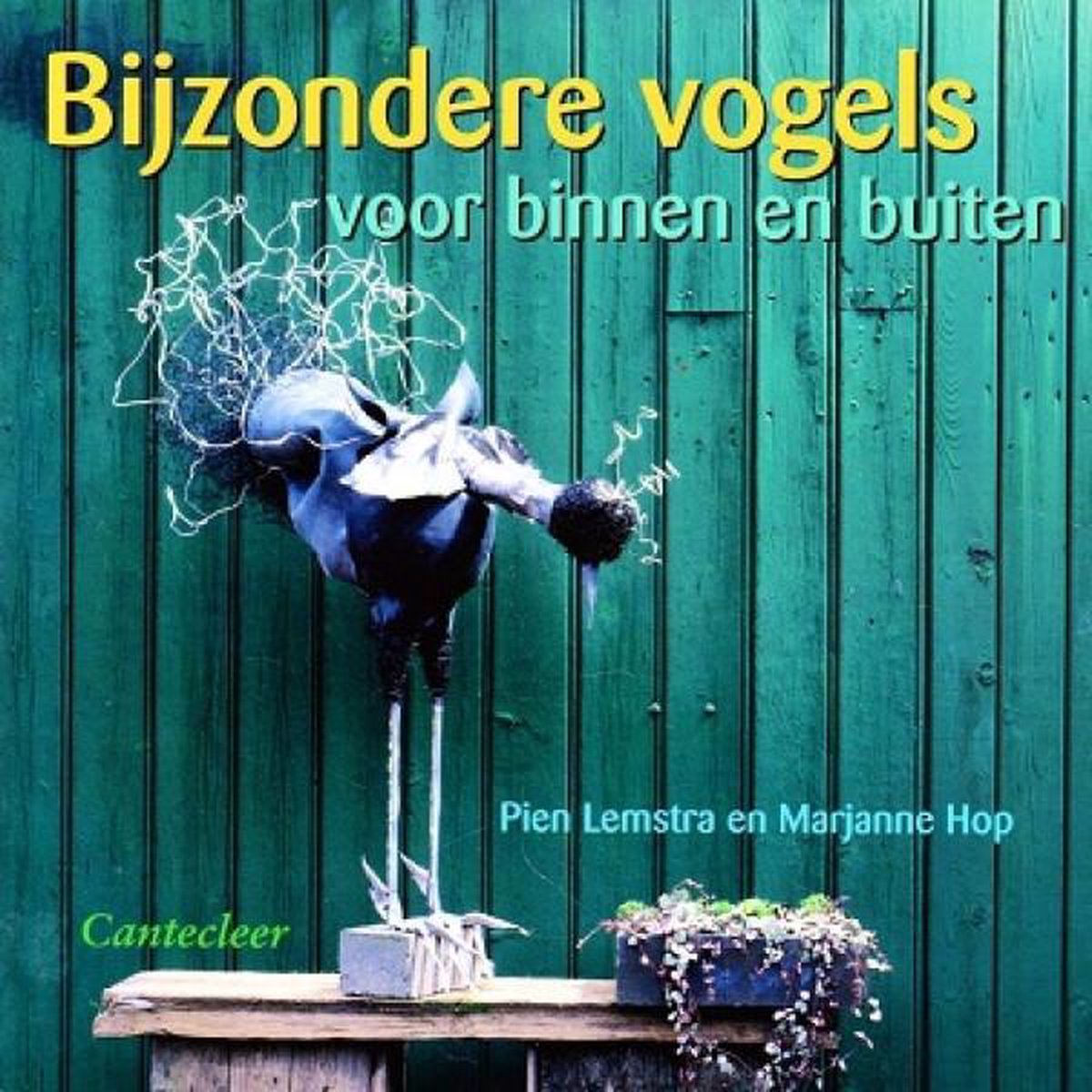 BIJZONDERE VOGELS VOOR BINNEN EN BUITEN