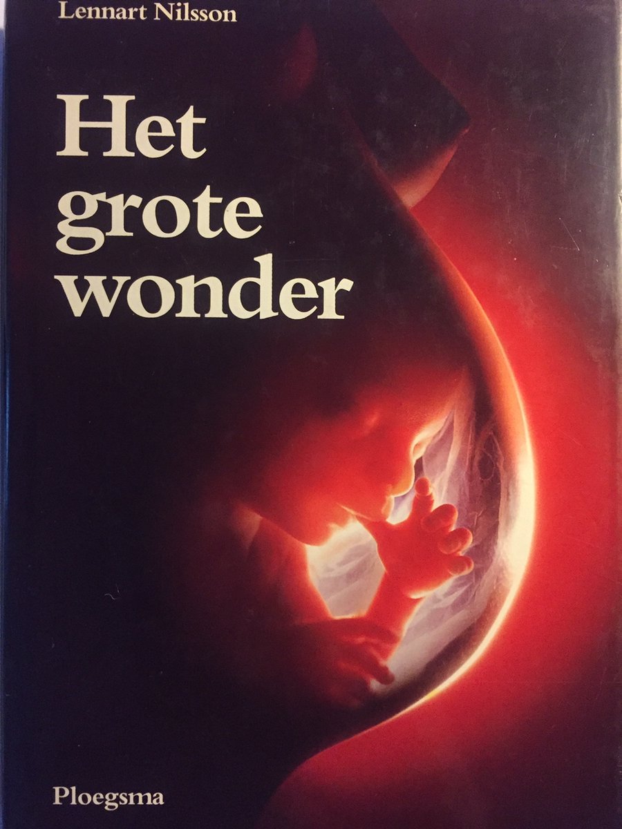 Grote wonder