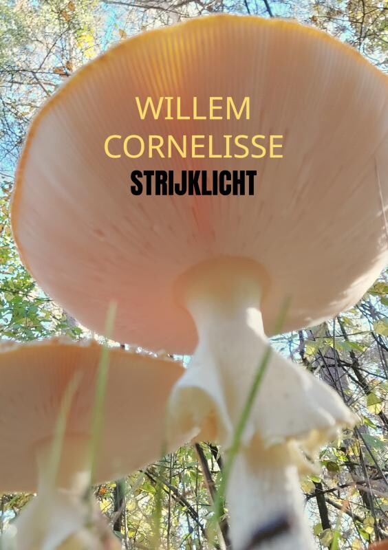 Strijklicht