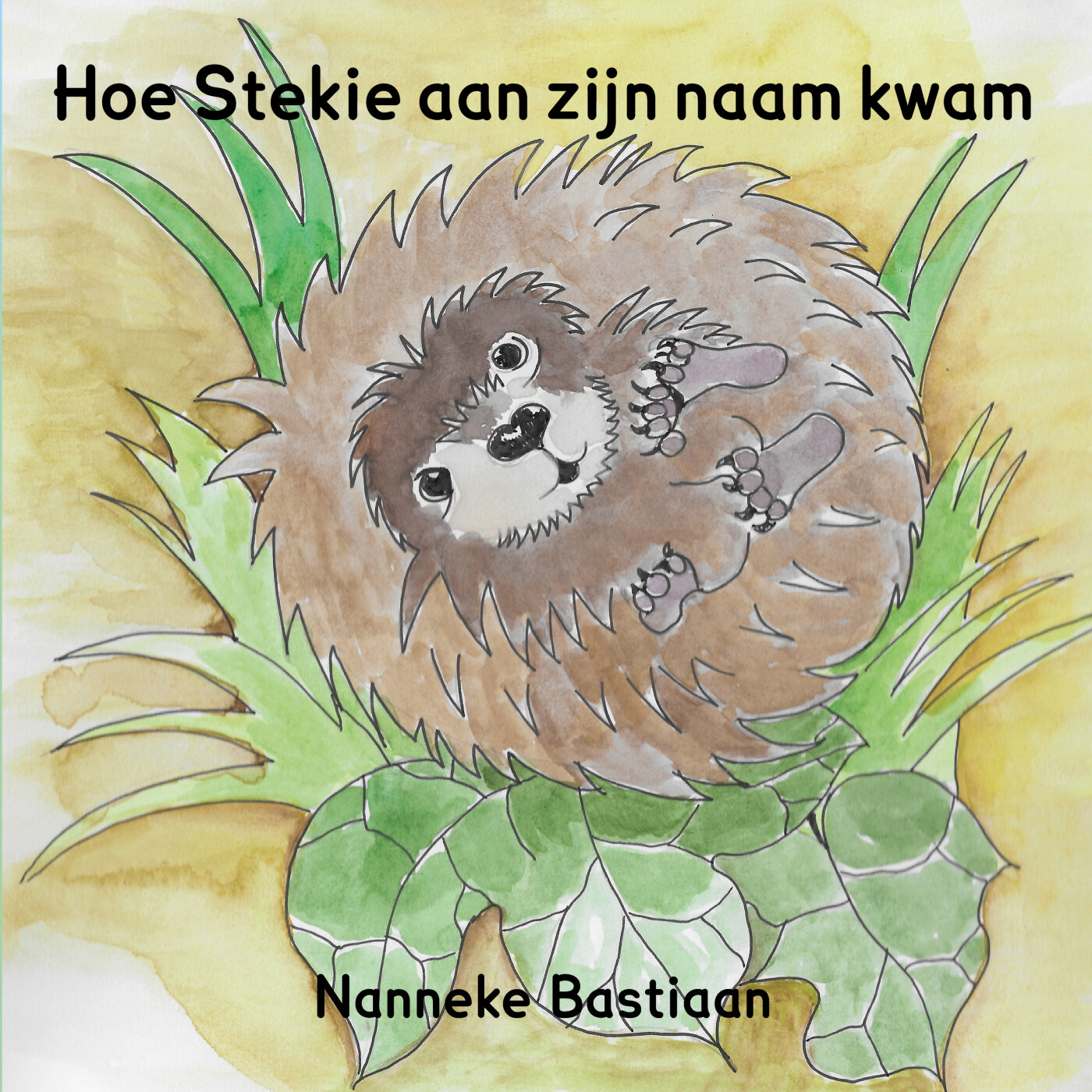Hoe Stekie aan zijn naam kwam