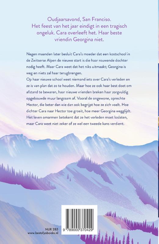 Mijn jaar na jou achterkant