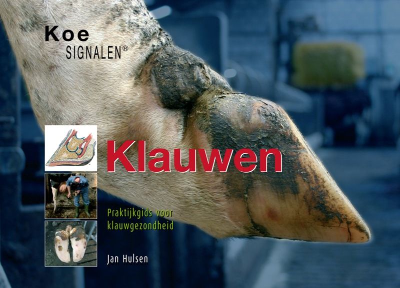 Jan Hulsen Klauwen / Koesignalen thumbnail