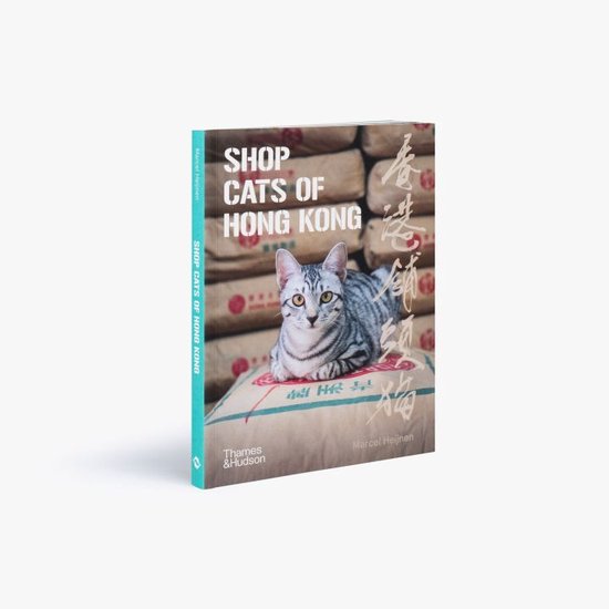Shop Cats of Hong Kong