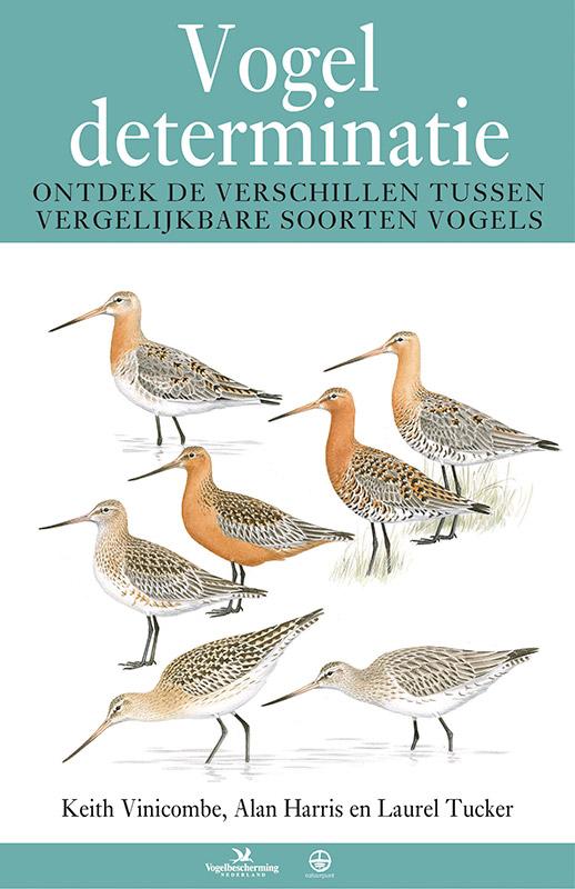 Vogeldeterminatie