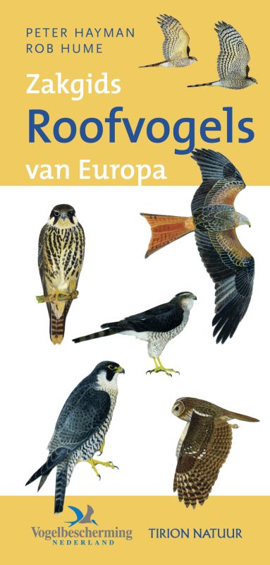 Roofvogels van Europa / Hayman's Zakgids