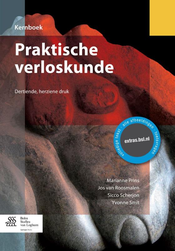 Marianne Prins Praktische Verloskunde / Kernboek