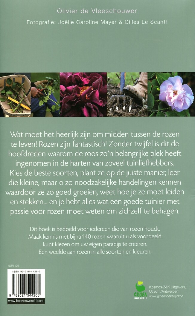 Rozen, natuurlijk achterkant
