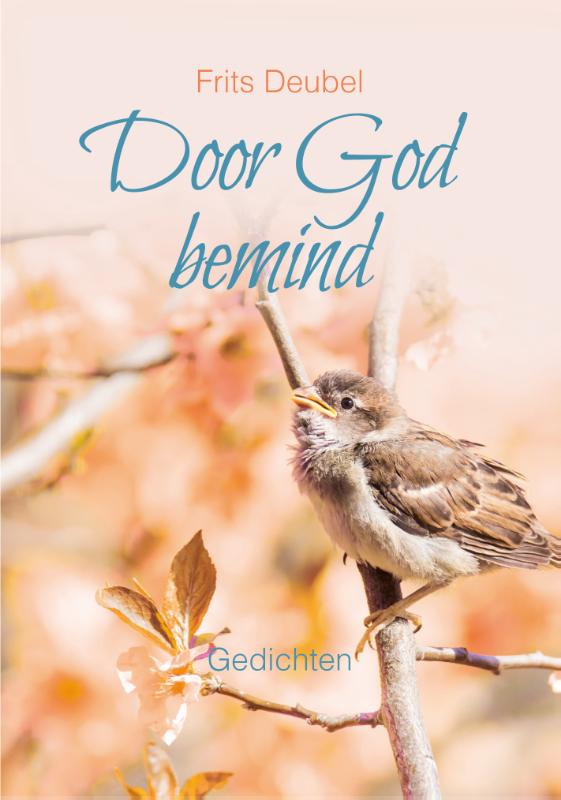 boekenbalie_9789033826757_cover Door God bemind