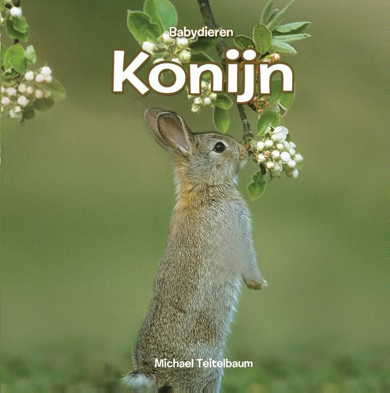 Konijn / Babydieren