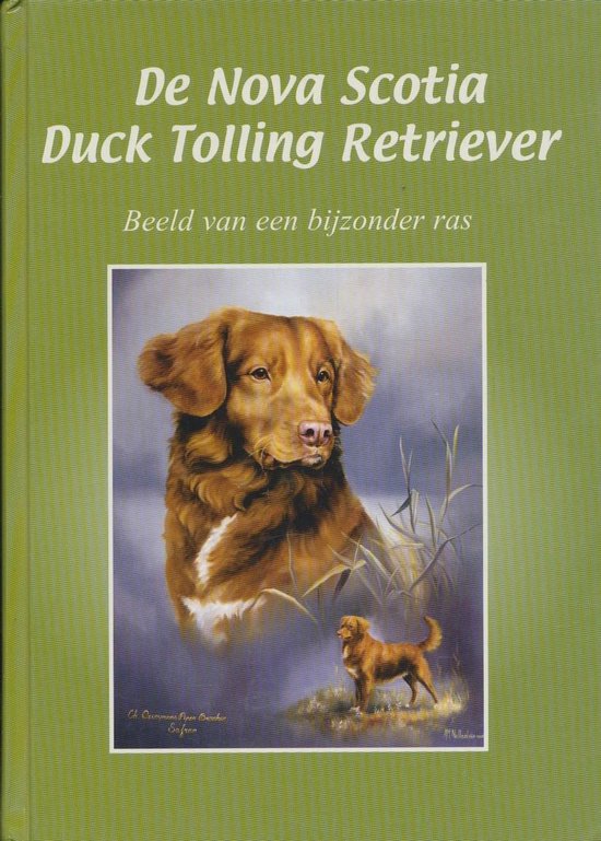 De Nova Scotia Duck Tolling Retriever