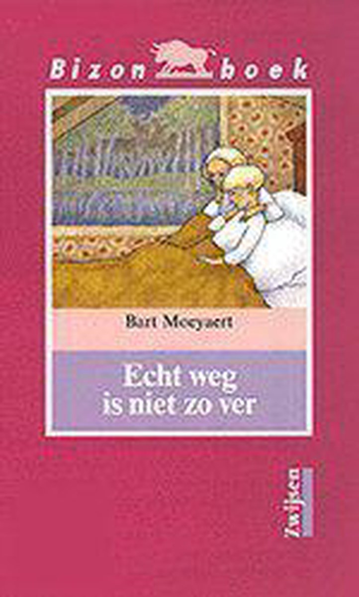 boekenbalie_9789027628732_cover Echt weg is niet zo ver / Bizon boek