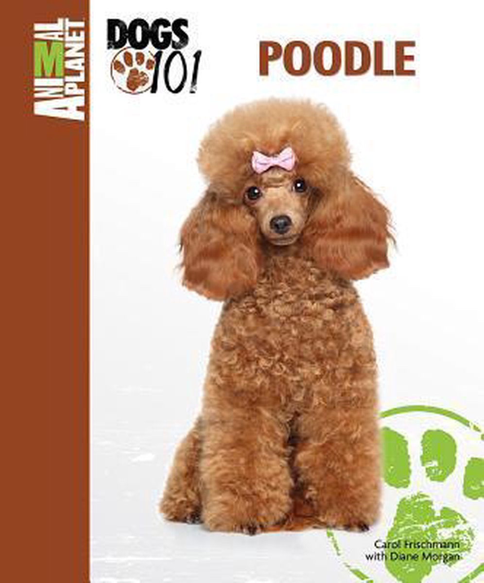 Poodle