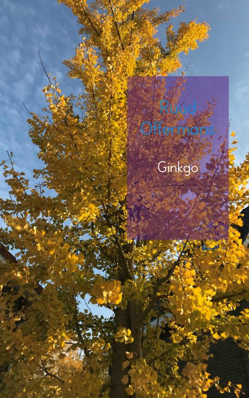 Ginkgo
