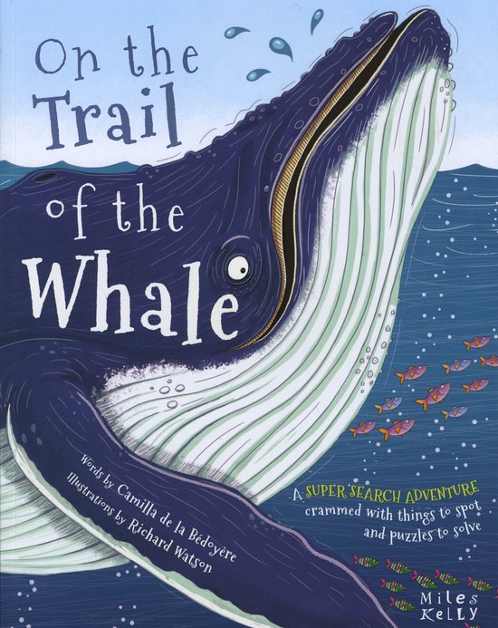 Super Search Adventure On Trail Of Whale