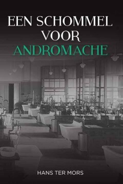 Een schommel voor Andromache
