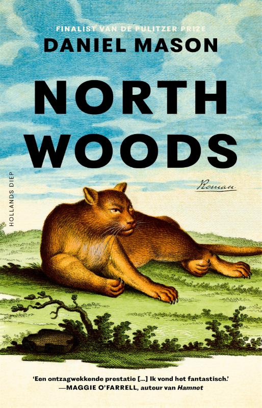 Daniel Mason North Woods thumbnail