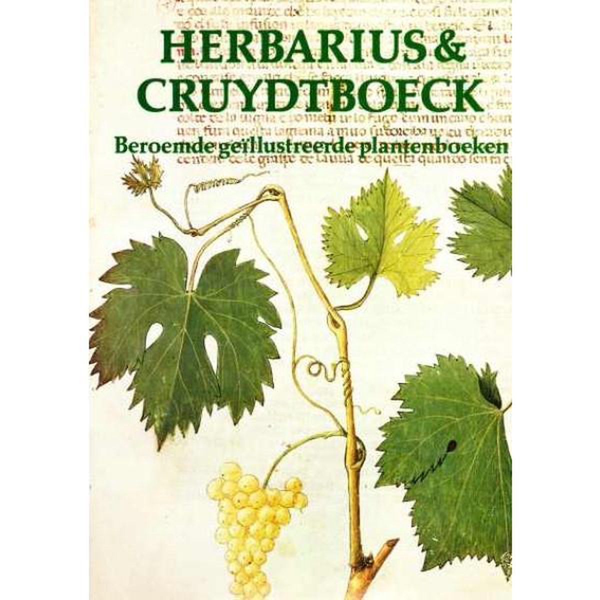 Herbarius & Cruydtboeck