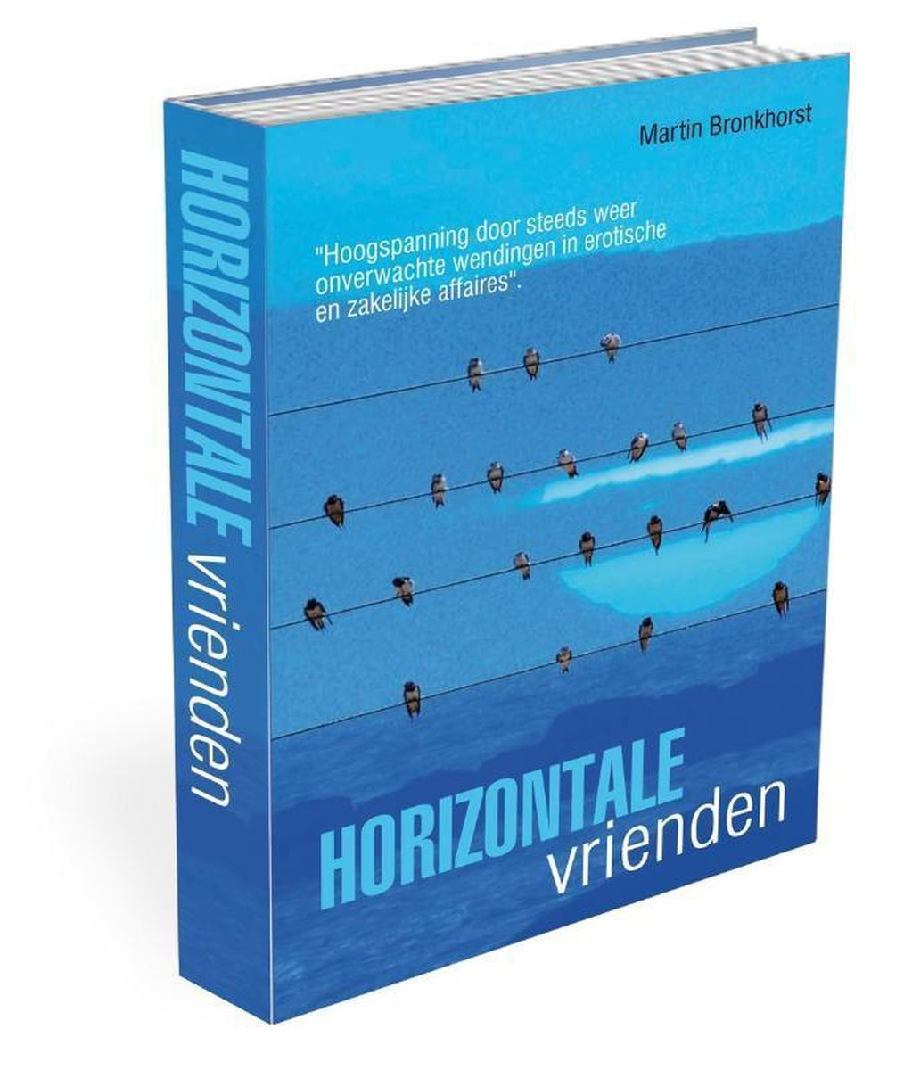 Martin Bronkhorst Horizontale Vrienden thumbnail