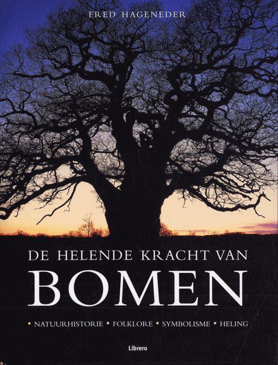 Helende kracht van bomen