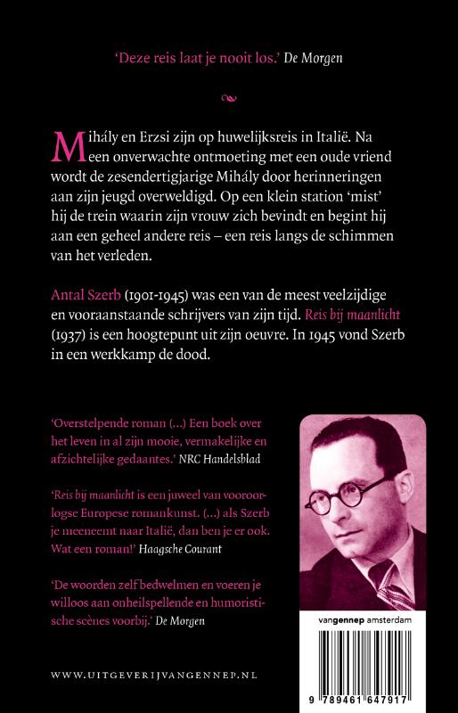 Reis bij maanlicht achterkant