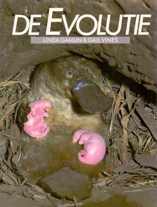 Evolutie
