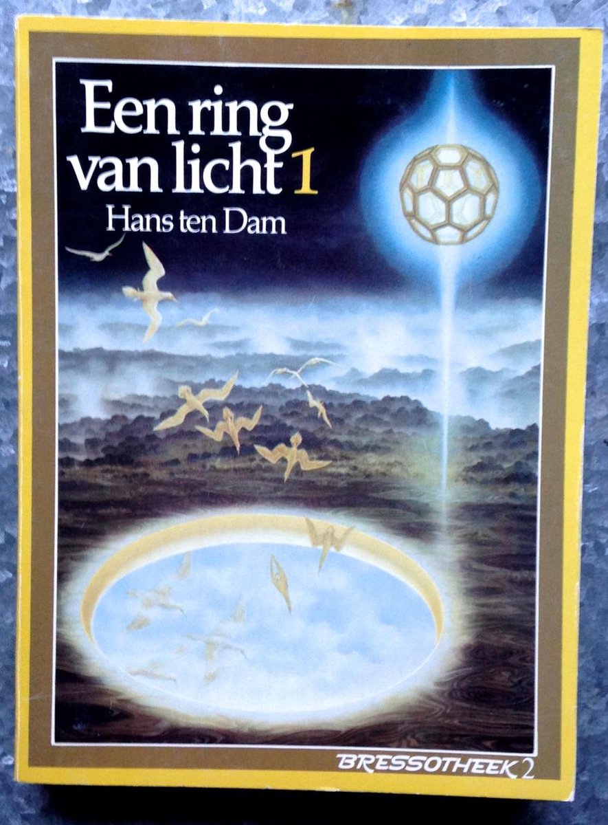 boekenbalie_9789062290048_cover Een ring van licht - Deel 1: Veronderstellingen en ervaringen