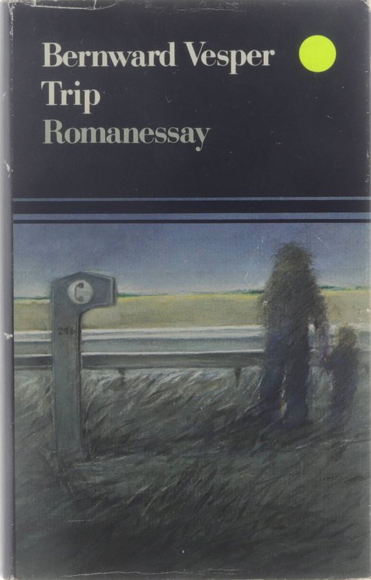 Trip - romanessay