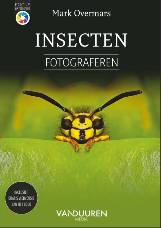 Insecten Fotograferen / Focus op fotografie