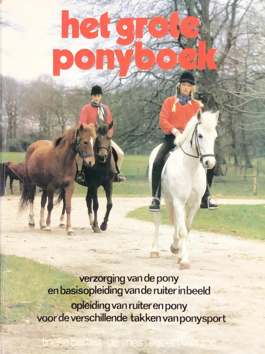 Grote ponyboek