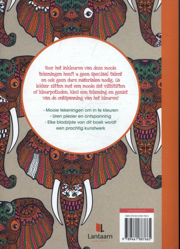 Dierenrijk / Creative colors achterkant