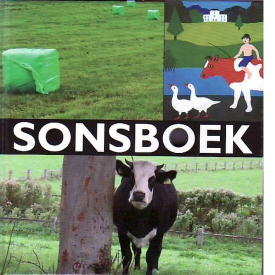 Sonsboek
