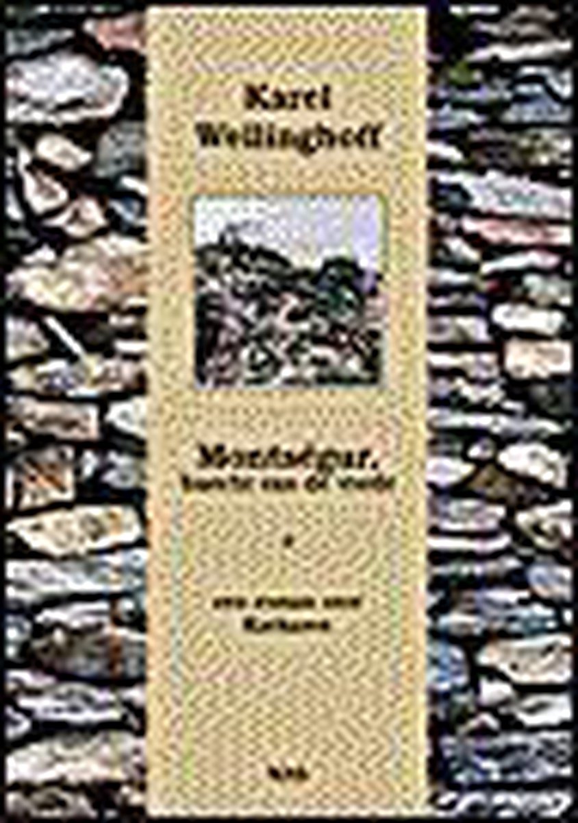 boekenbalie_9789075372076_cover Montsegur, burcht van de vrede