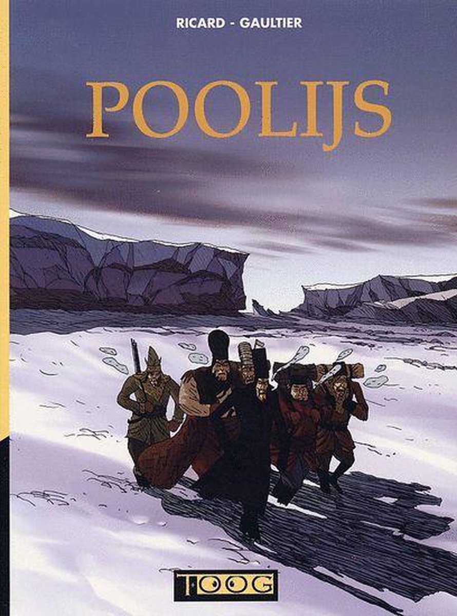 Poolijs