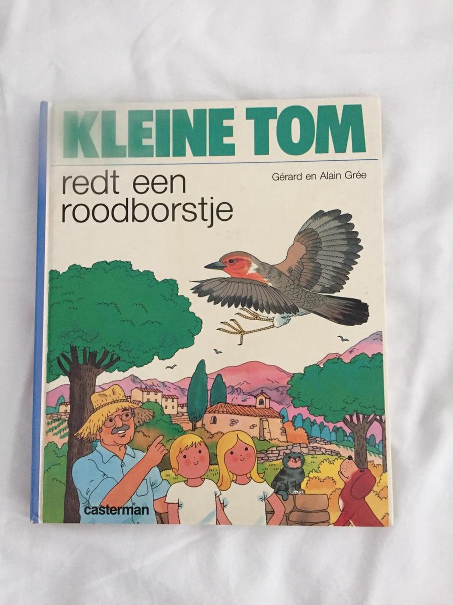 Kleine tom redt een roodborstje