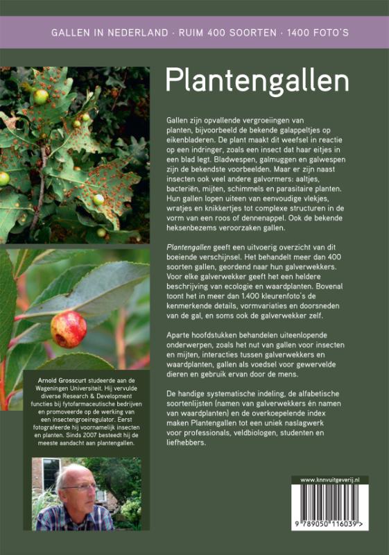 Plantengallen achterkant