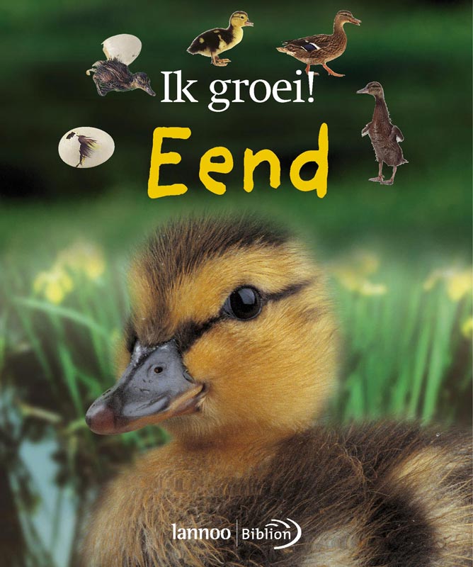 Eend / Ik groei!