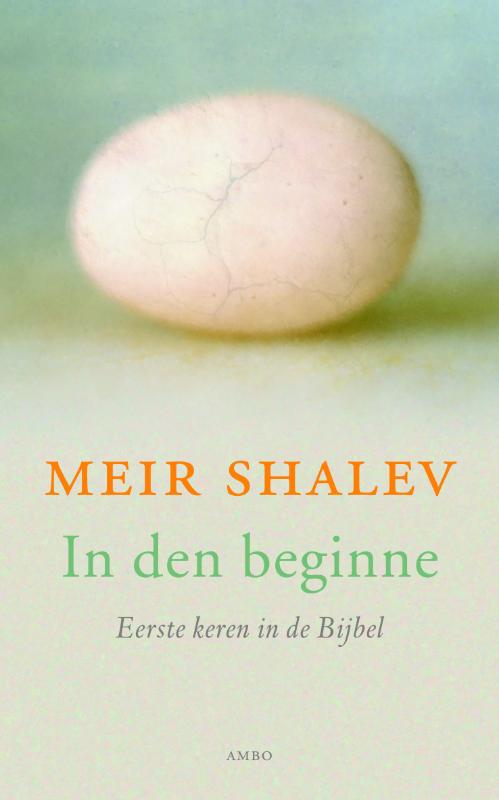 boekenbalie_9789026323669_cover In den beginne