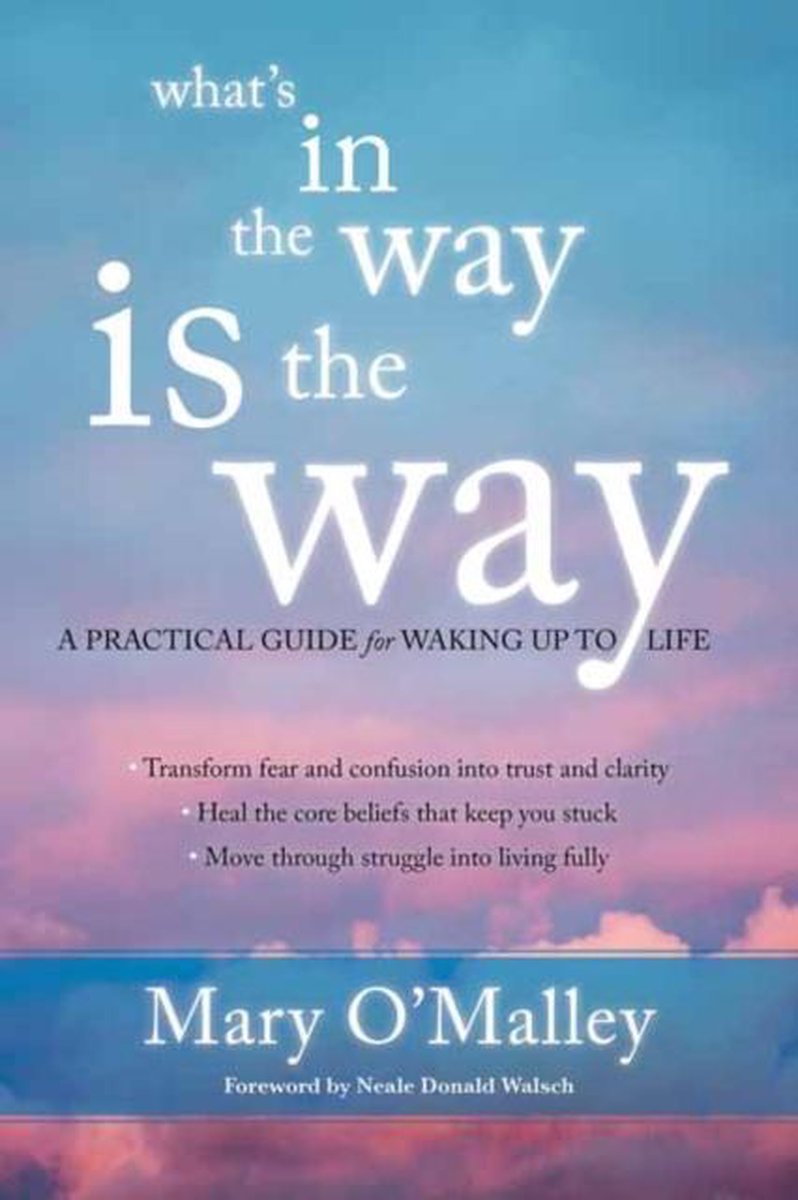 Whats In The Way Is The Way