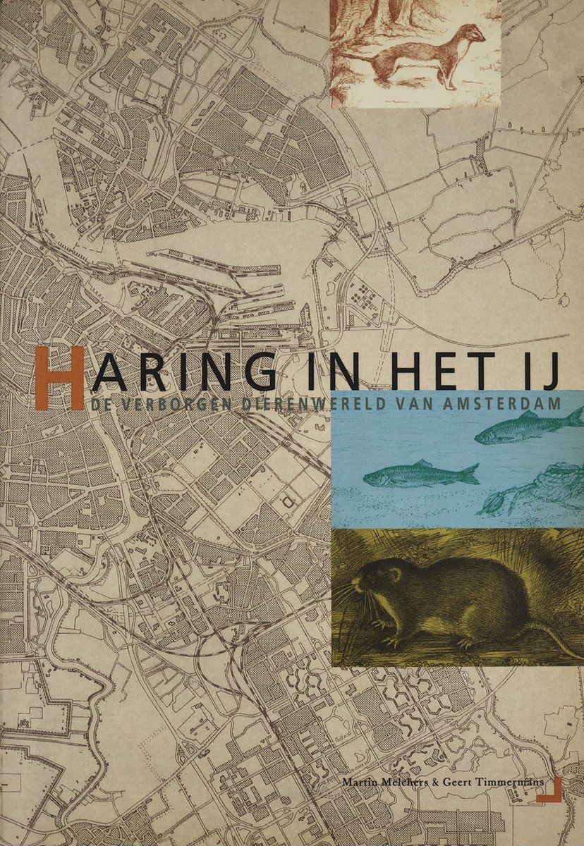 Melchers Haring In Het Ij thumbnail