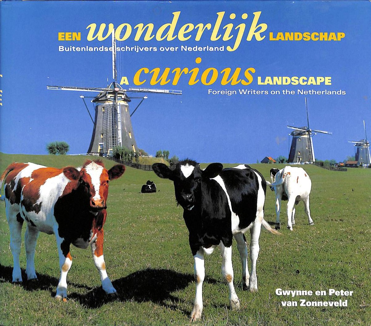 boekenbalie_9789061139225_cover Een wonderlijk landschap = A curious landscape