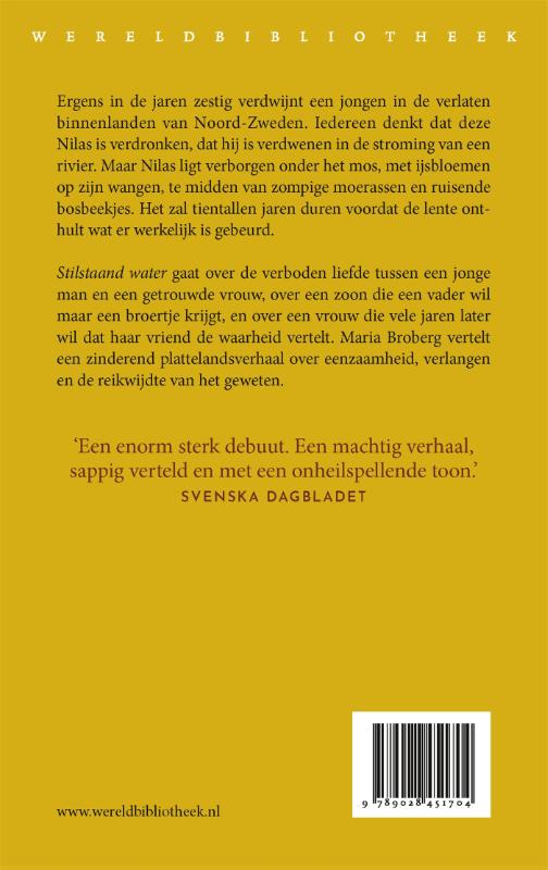 Stilstaand water achterkant