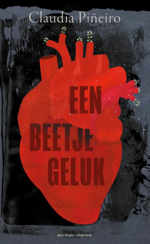 Claudia Piñeiro Een Beetje Geluk thumbnail