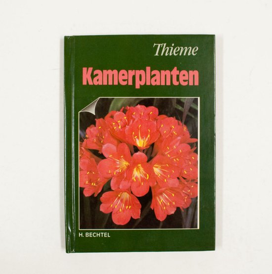 Kamerplanten