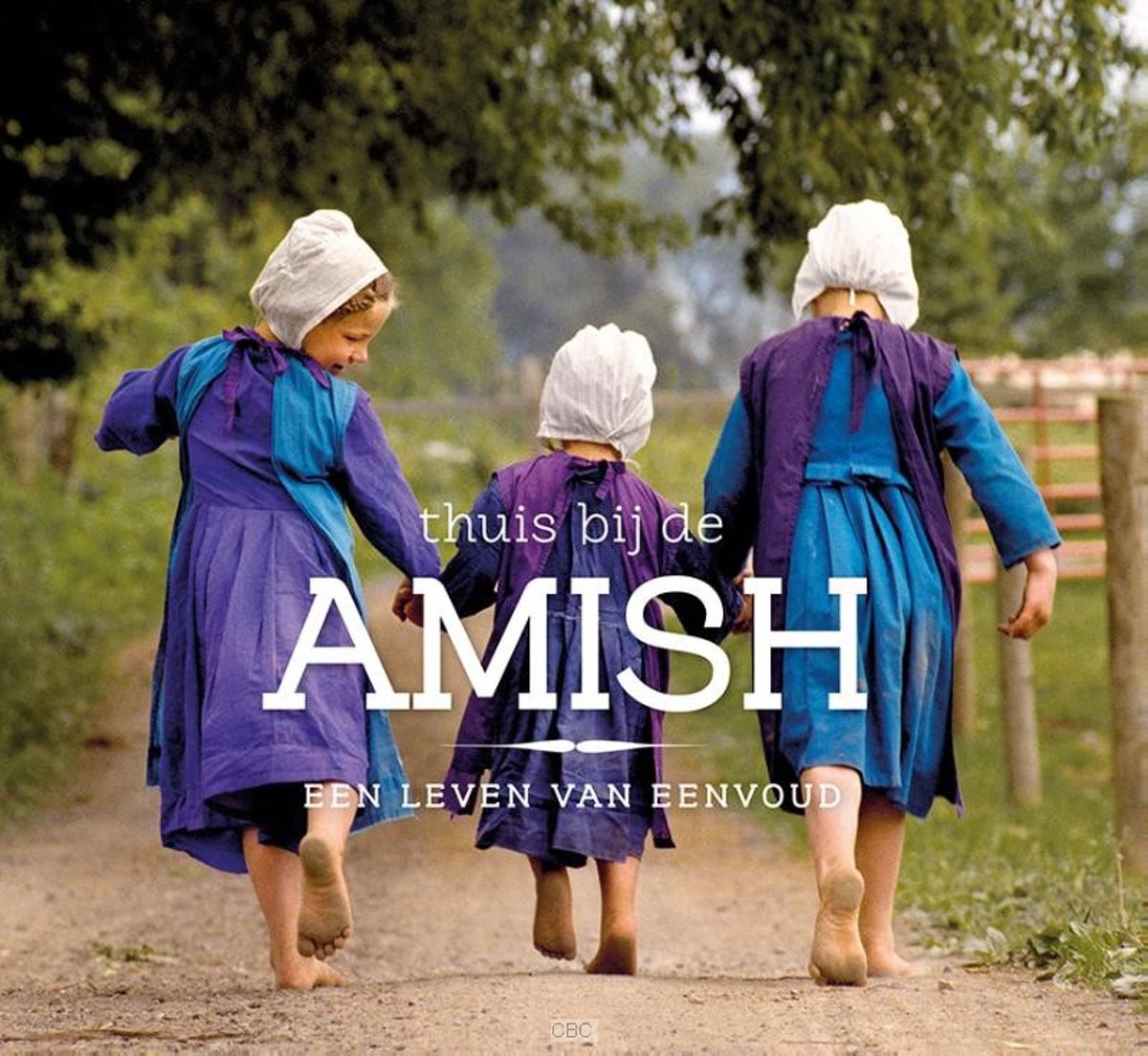 Thuis Bij De Amish thumbnail