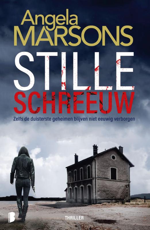 boekenbalie_9789022588413_cover Stille schreeuw / Kim Stone / 1