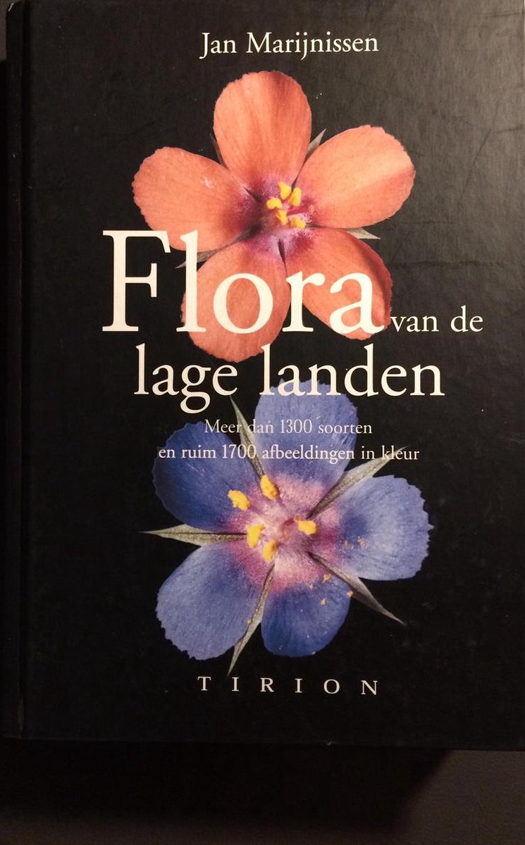 Flora Van De Lage Landen