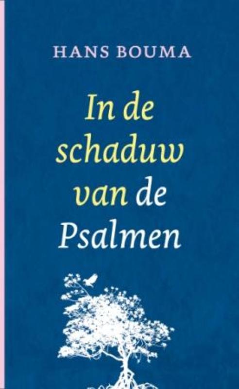 boekenbalie_9789043505987_cover In de schaduw van de psalmen