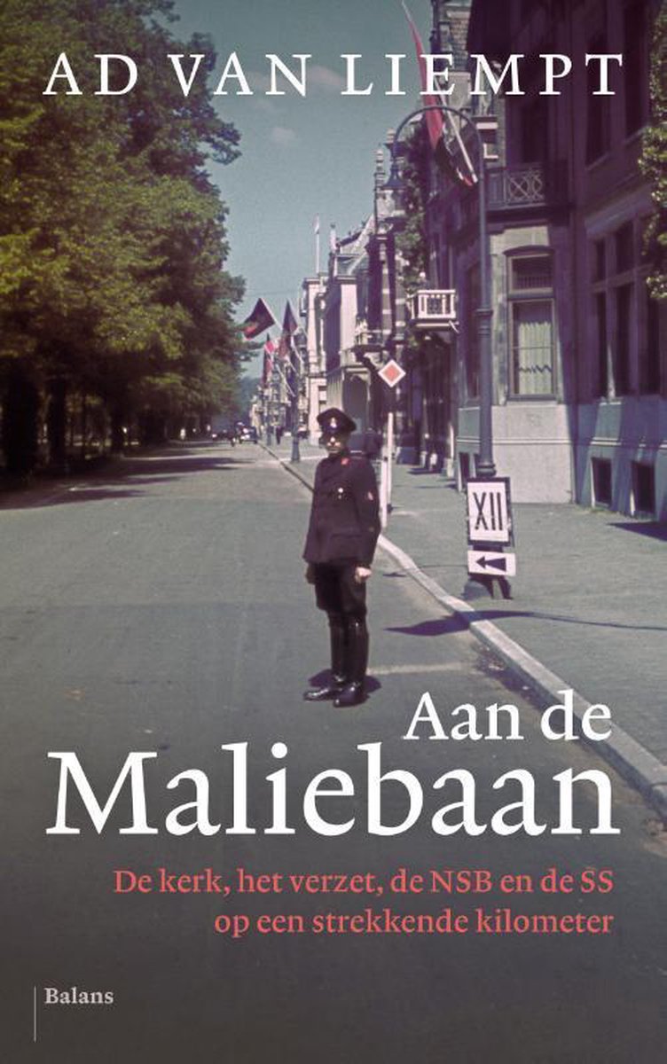 Ad van Liempt Aan De Maliebaan thumbnail