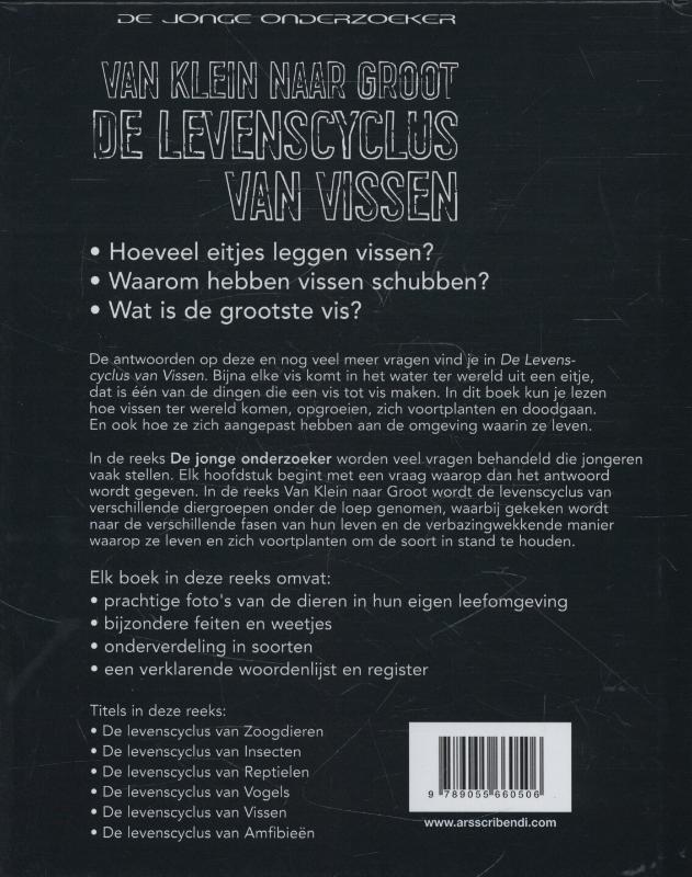 De levenscyclus van vissen / Van klein naar groot achterkant