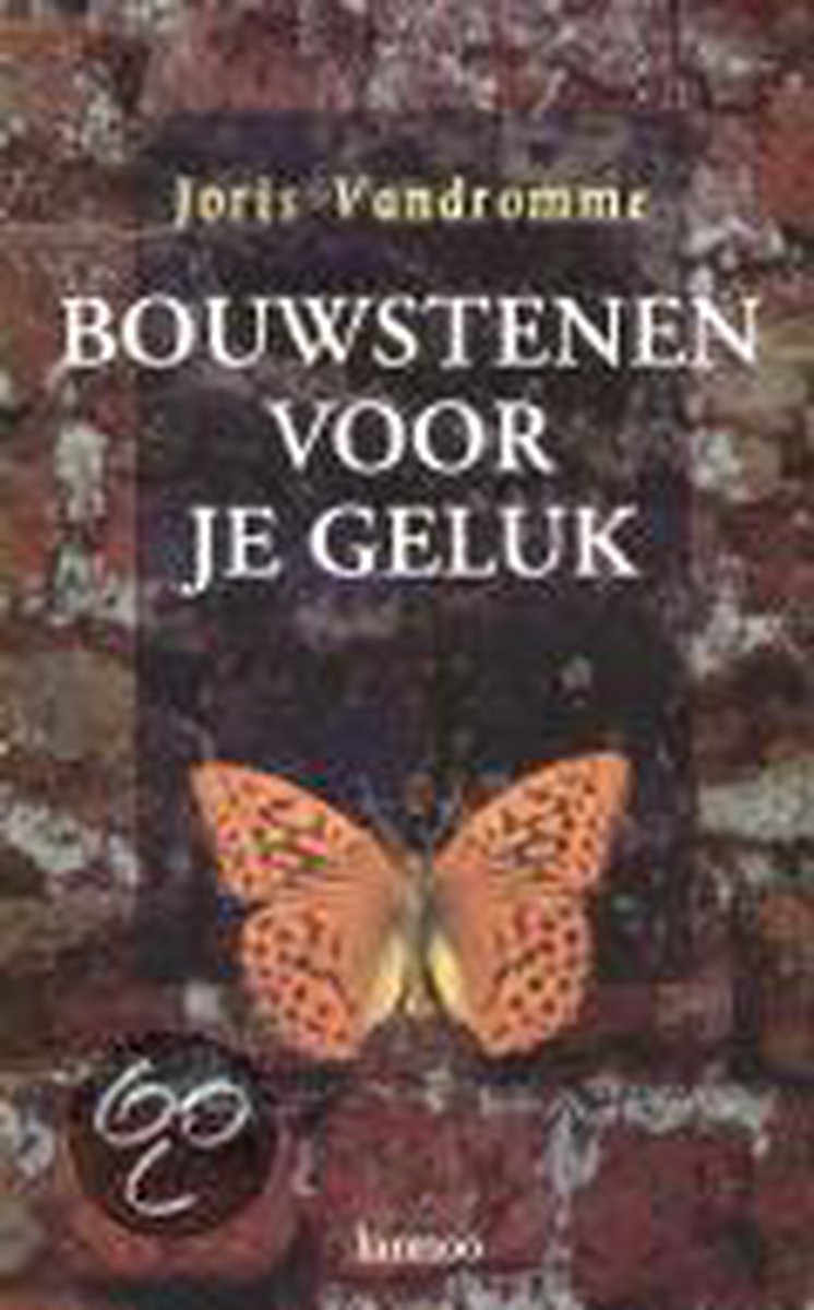Bouwstenen voor je geluk